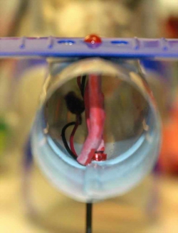 CX3 Boom LED Installation