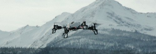 Blade shop mqx quadcopter